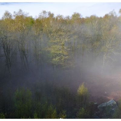 Vers le Roc la Tour (Monthermé - Ardennes 08)