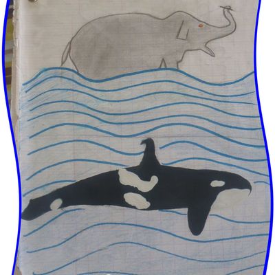 CROQUIS ELEPHANT ET ORQUE