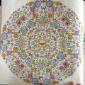 Coloriage 2 - Jardin Secret - Mandala fleurs