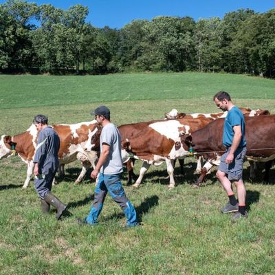 La Ferme des Bertrand (2024) de Gilles Perret