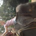 Après plusieurs leçons je sais diriger un éléphant c'est presque pareil que le cheval !!! Lol
