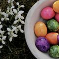 Le  Lapin de Pâques 2025 de Claire