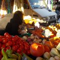 Les tout petits au marché.