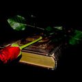 Le livre et la rose...