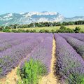 visite de MOUTIERS St MARIE dansles alpes de haute Provence