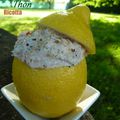 Citrons Farcis au Thon & Ricotta