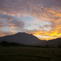 ONE MORNING IN BOUCHE DU RHONE