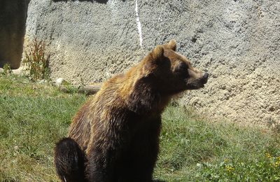 Parc'ours à Borce