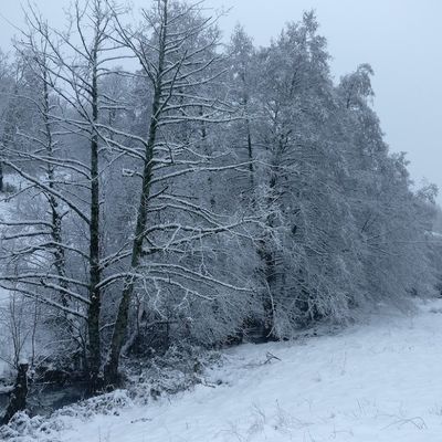 Près des Cousteilles