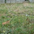 Et si on passait au jardin