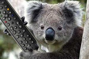 Crocodile TV