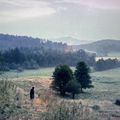 Trois Chemins vers le lac (Drei Wege zum See) de Michael Haneke - 1976