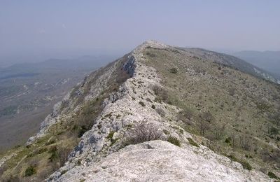 Les béguines de la Sainte-Baume 