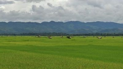 Laos : rizières du Nord et leurs éthnies, et les cascades du Centre !