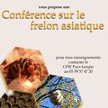 Conférences sur le frelon asiatique.