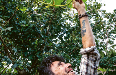Les légumes "pas comme les autres" de Xavier Mathias