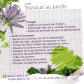 Travaux de juillet au jardin