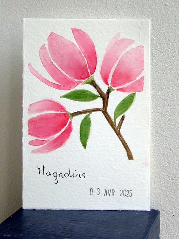 15 Magnolia