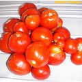 Coulis de tomate