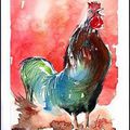 Coq