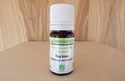 Tea tree (arbre à thé)