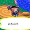 les fossile