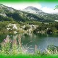 Parc national de Bulgarie