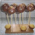 Mes premiers cakes pops. Douce journée à vous 