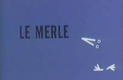 LE MERLE