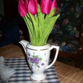 Cafetiere et tulipes