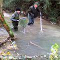 une  pêche électrique