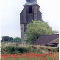 Coquelicots des champs... # 4