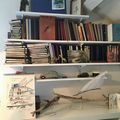 pour le SketchCrawl Mondial