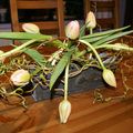 Entrelacements de tulipes et saule
