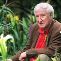 John Montague (1929 - 2016) : Cours de nu
