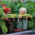 Les lutins des bois - Et si on disait....