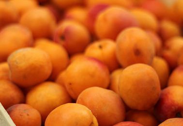 LIQUEUR DE NOYAUX D'ABRICOTS