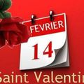 Bonne Saint Valentin - 14 février 2015