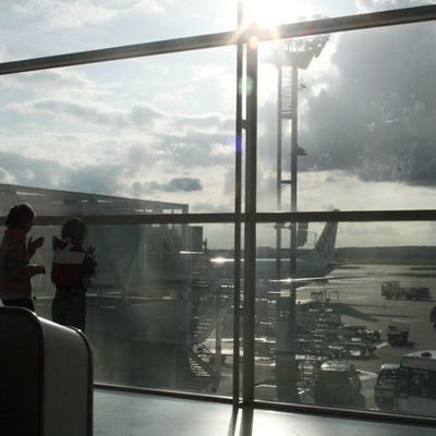 Perou, chapitre 1 & 2 : des prophéties aériennes et de l'absence de lamas