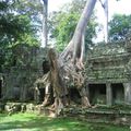 Le site de Angkor