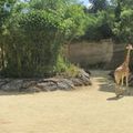 Bioparc de Doué La Fontaine