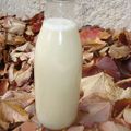 Le lait d'avoine