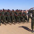 Escalade militaire du Polisario à la veille des négociations informelles