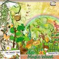 Magic wood (Chouk77)