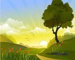 Des naissances dans mon jardin !