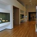  The Cleveland Museum of Art opens new north wing gallery to the public 