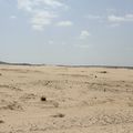 Coin@fuerteventura - les dunes de Corralejo