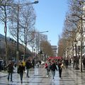 CHAMPS ELYSEES