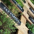 Faire un carré de potager avec des palettes 