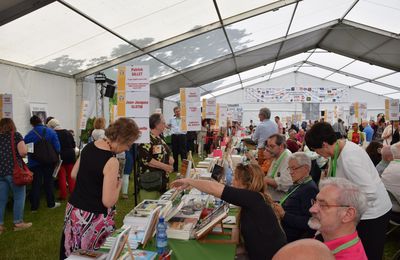 8ème Chapiteau du Livre de saint Cyr Sur Loire